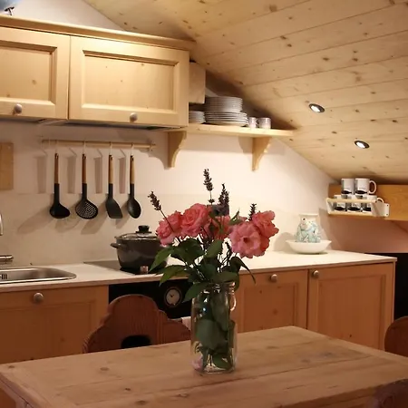 Attic Loft With Park In The Shadow Of The Dolomites Apartment